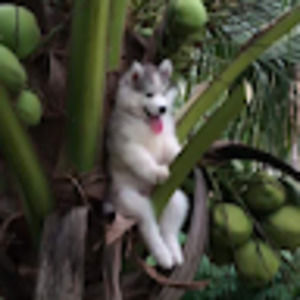 Meet your Posher, Ricky